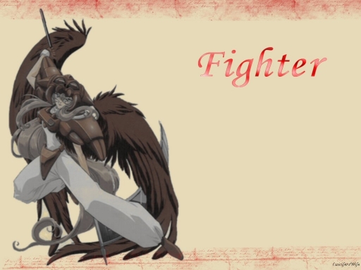 Fighter