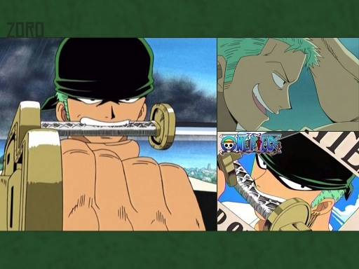 Zoro Zolo