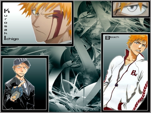 Bleach : Kurosaki Ichigo