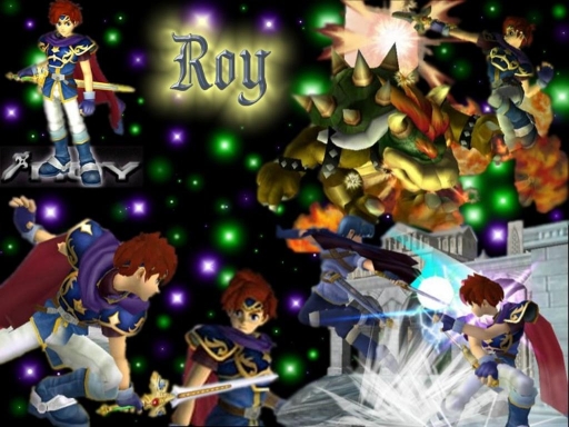 Roy, Ssbm