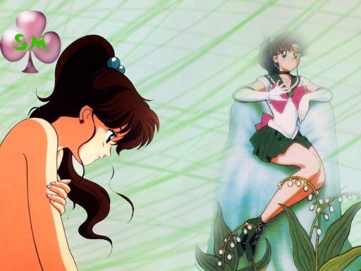 Sailor Moon-sailor Jupiter 2