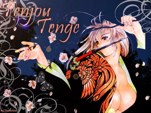 Tenjou Tenge