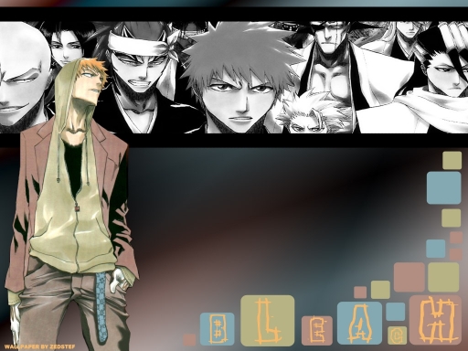 Bleach