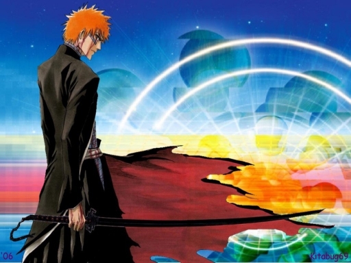 Bleach 11