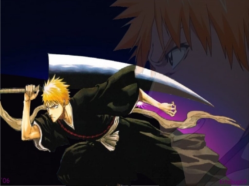 Bleach 12