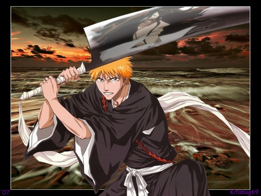 Bleach 91