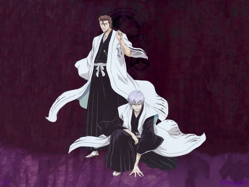 Bleach 109