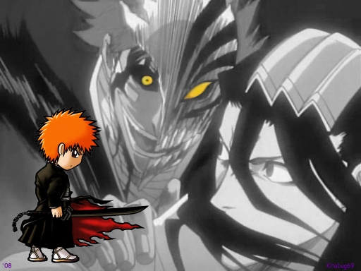 Bleach 08