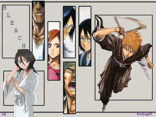 Bleach 09