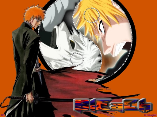 Bleach 270