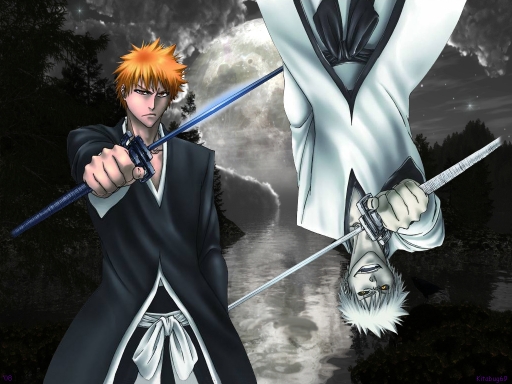 Bleach 298