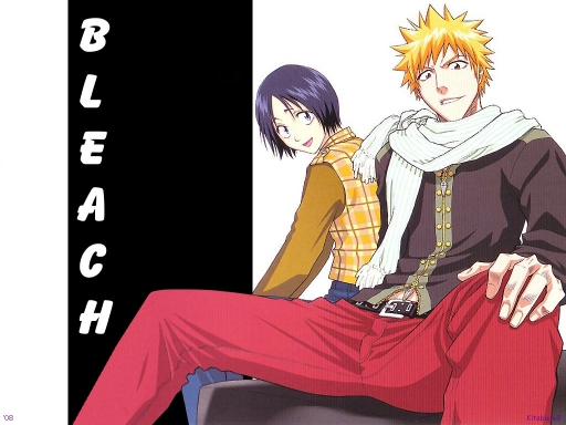 Bleach 301