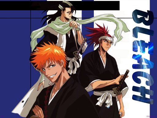 Bleach 307