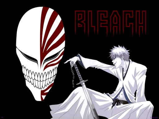 Bleach 376