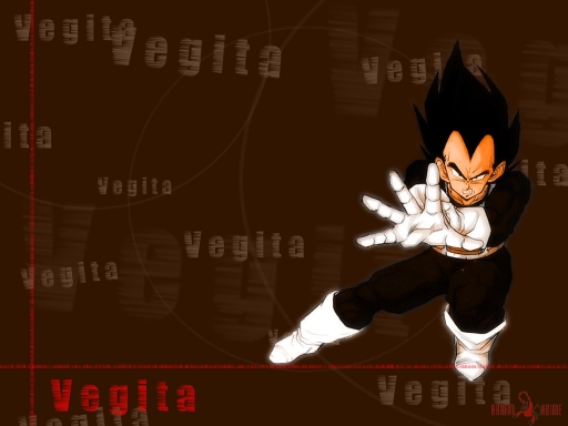 Vegita_5