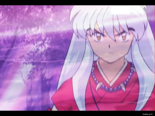 Inuyasha8