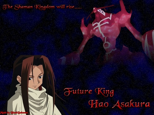 Future King Hao