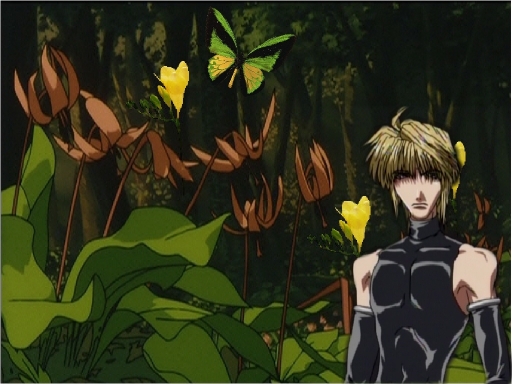 Saiyuki Butterfly