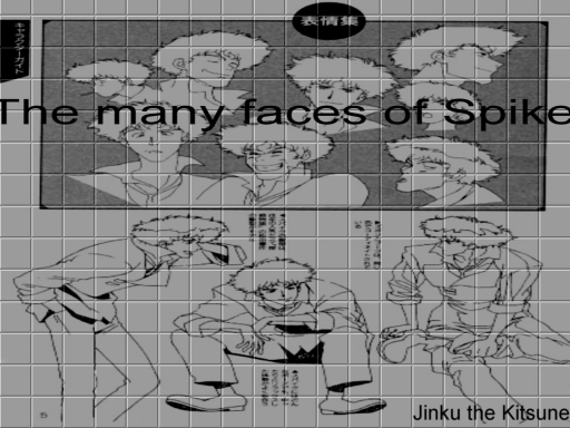 The Many Faces of Spike