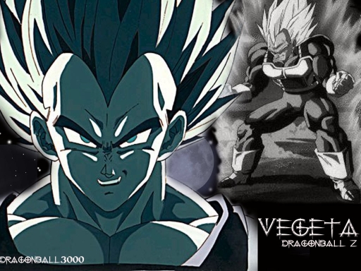 Vegeta Gray And White