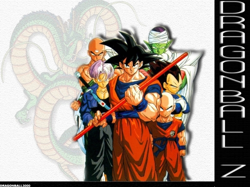 Dbz 2006