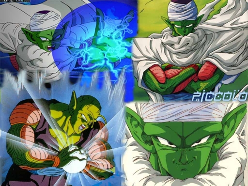 Piccolo2006