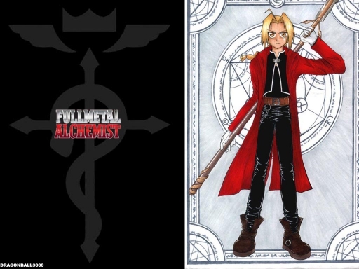 Fma2006toracard