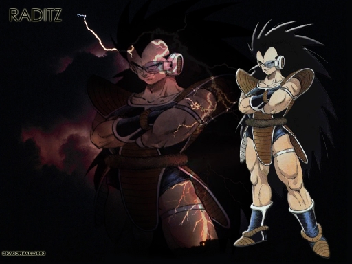 Raditz01