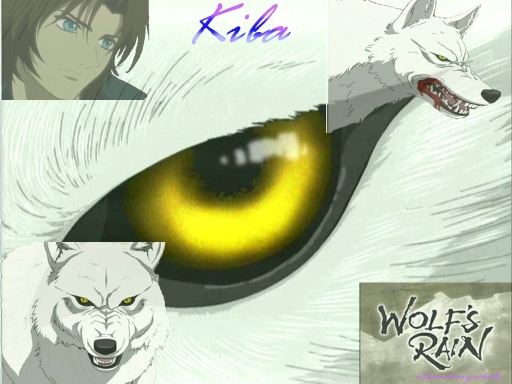 Kiba