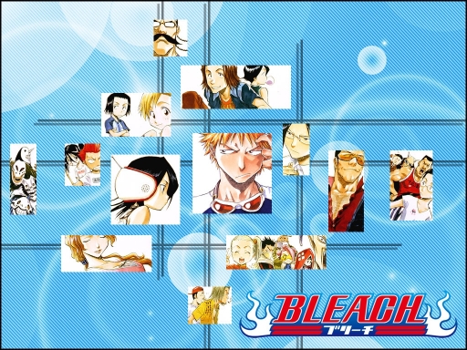 Bleach