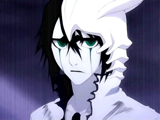 Don Ulquiorra