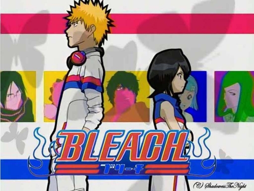 Bleach