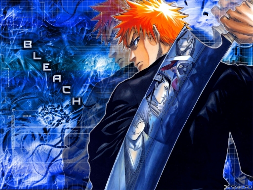 Bleach Enchanted