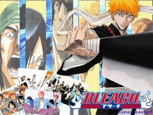 Bleach