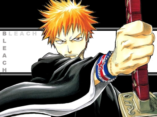 Bleach