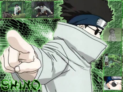 Shino