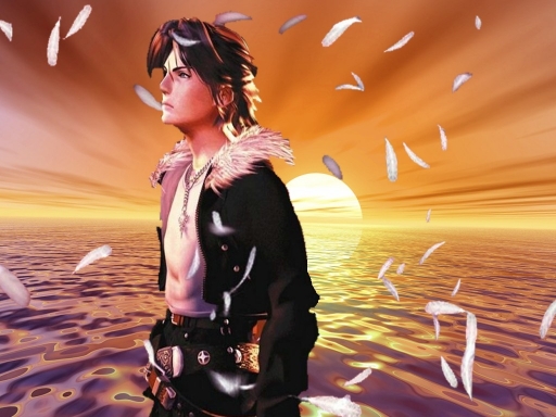 Squall's Feathery Sunset