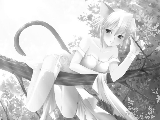 Black And White Neko