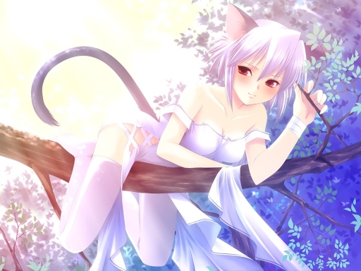 Sexxy Neko