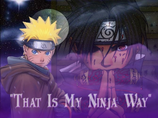 A Ninjas Way