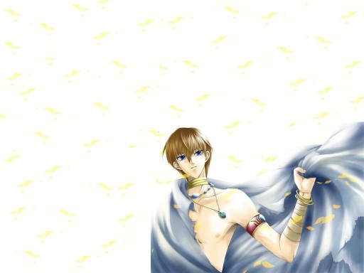 Seto Kaiba With Yellow Petals