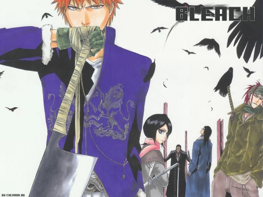 Bleach Realm