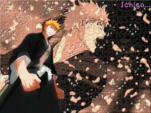 Shinigami Ichigo2