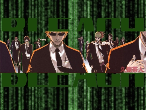 Bleach Matrix