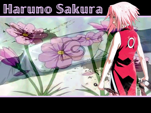 Sakura