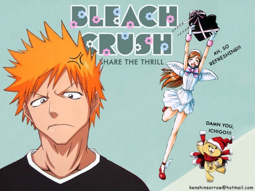 Bleach Crush: Share The Thrill