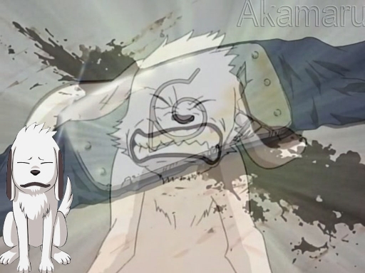 Akamaru