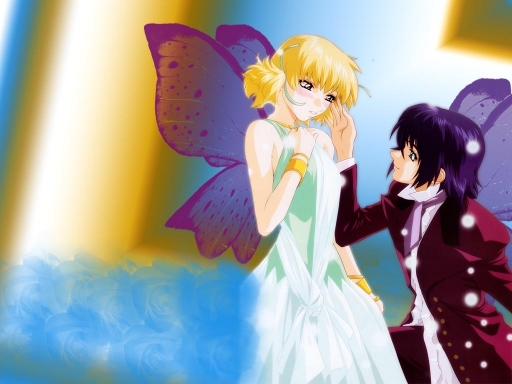 Fairy Couple