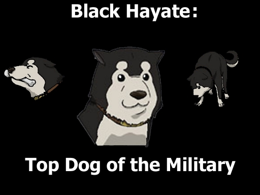 Black Hayate