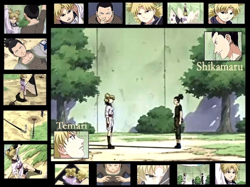 Shikamaru Vs Temari